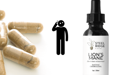 What is the Best Form of Lion’s Mane: Powder, Capsules, or Tincture?