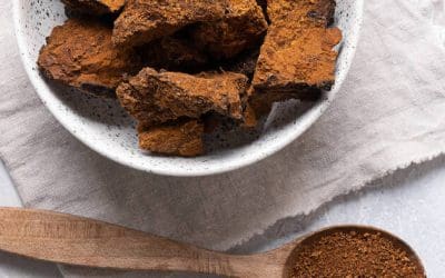 The Power of Chaga Mushrooms: A Comprehensive Guide to Natural Immune System Boosters