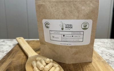 Unveiling the Truth About Mushroom Extract Powders