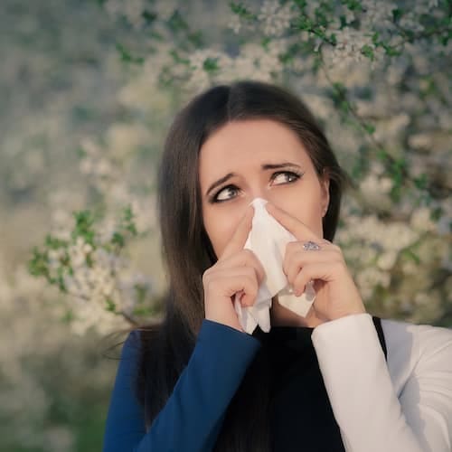 mushrooms for allergies