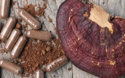 The Reishi Revolution: Steel Ridge Farm’s 100% Whole Fruiting Body Supplements